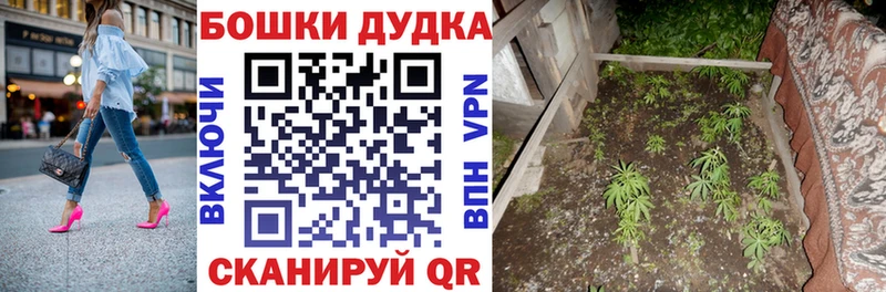 Купить Торопец Канабис  A PVP  Гашиш  MDMA  Мефедрон 