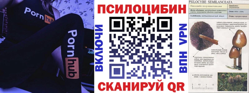 Псилоцибиновые грибы прущие грибы  MEGA как зайти  Торопец 